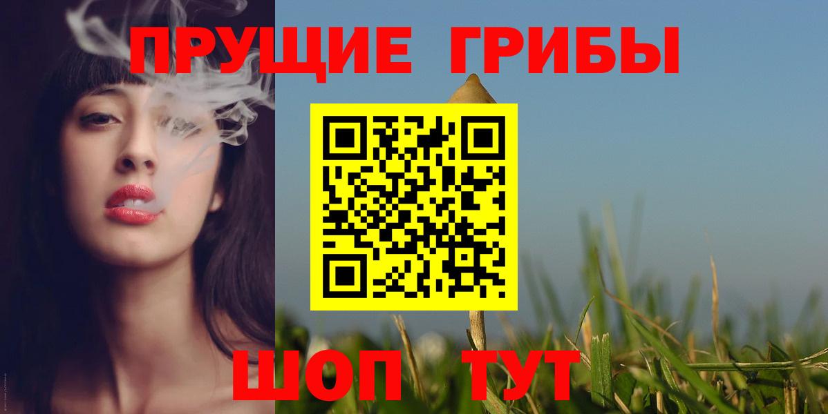 Среднеуральск  продажа наркотиков  Вход с VPN  Псилоцибиновые грибы Cubensis 